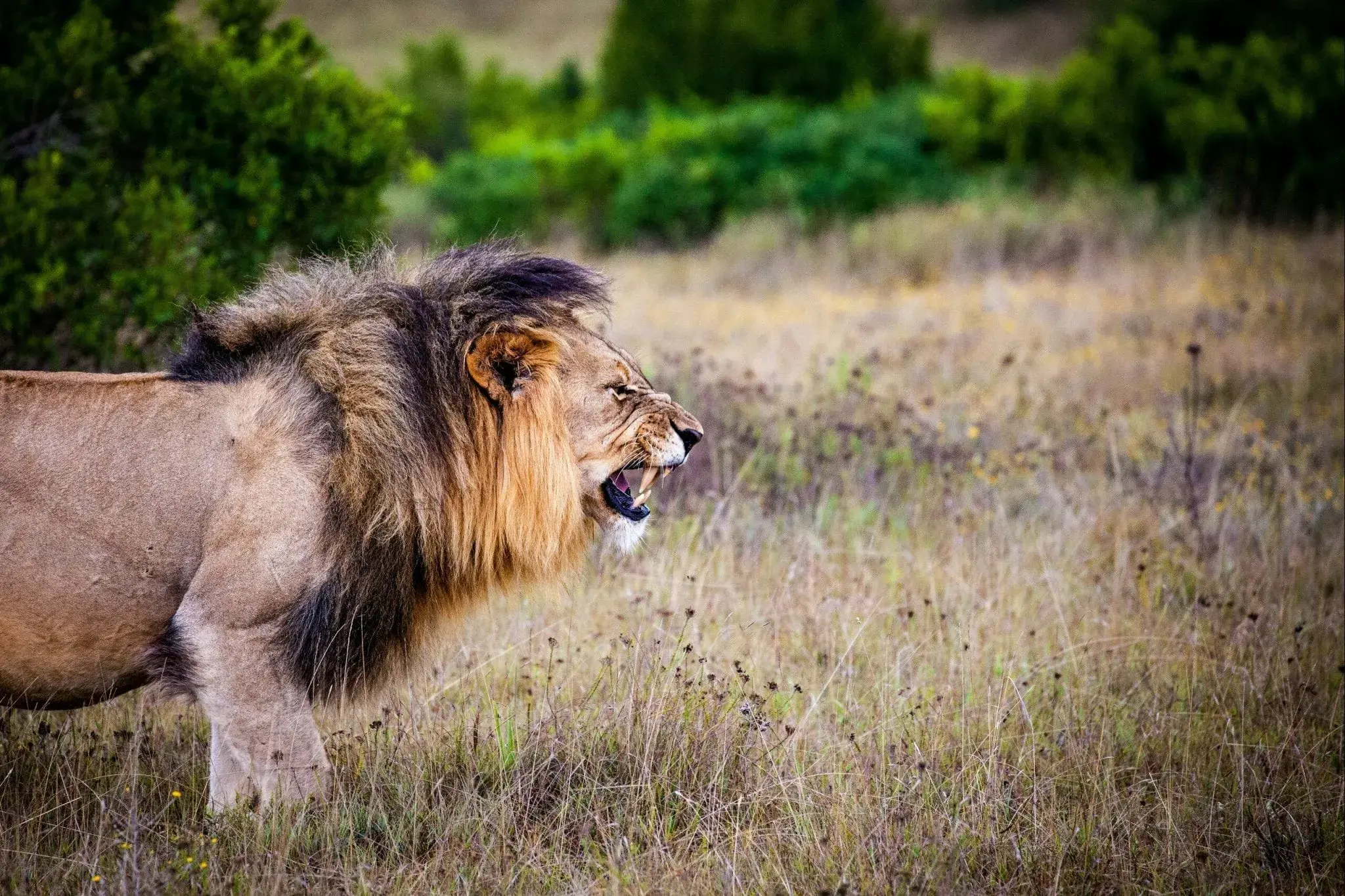 Quickread: Steps to Appreciating your Opposite - The Difference a Profile Makes