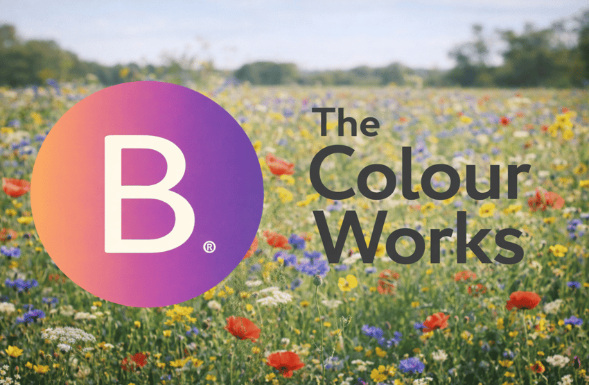 BCorp