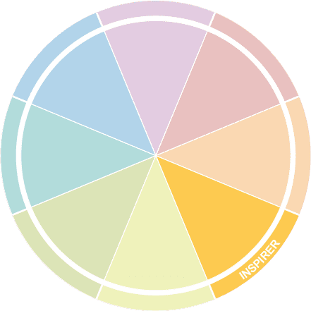 Inspirer 8 type