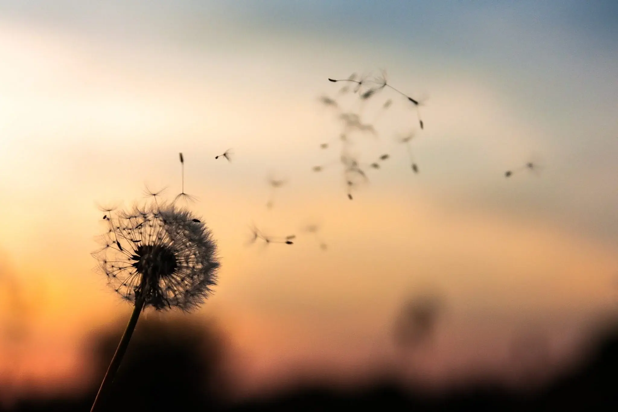 From the Inside Out - 11 Ways to Introduce Mindfulness to your Work Day
