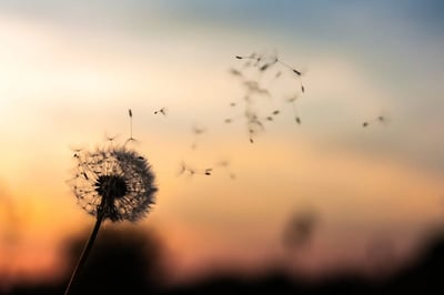 From the Inside Out: 11 Ways to Introduce Mindfulness to your Work Day