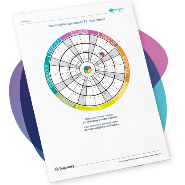 The-Insights-Discovery-Team-wheel-600x600