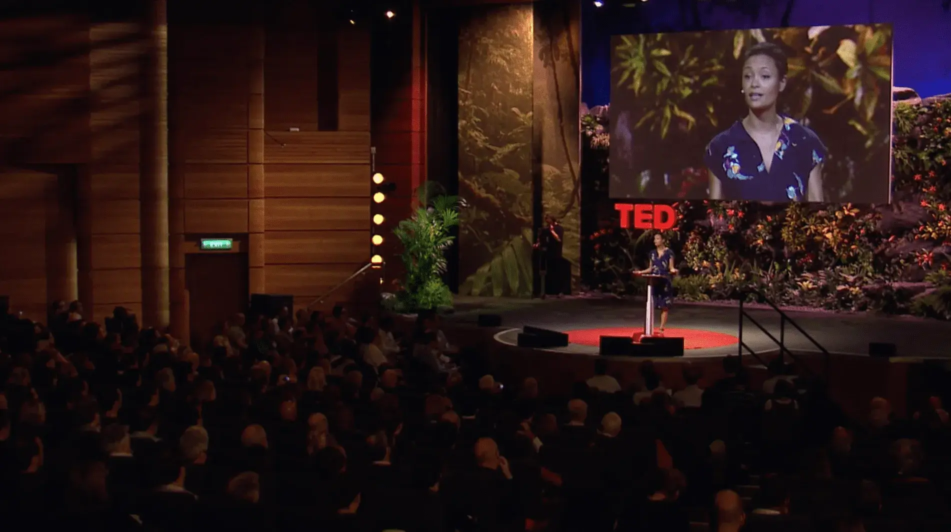 Ted Talks: Thandie Newton