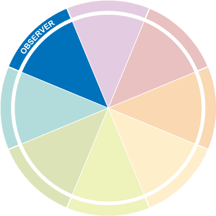 Observer 8 type