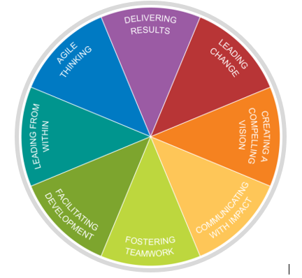 colour wheel insights discovery